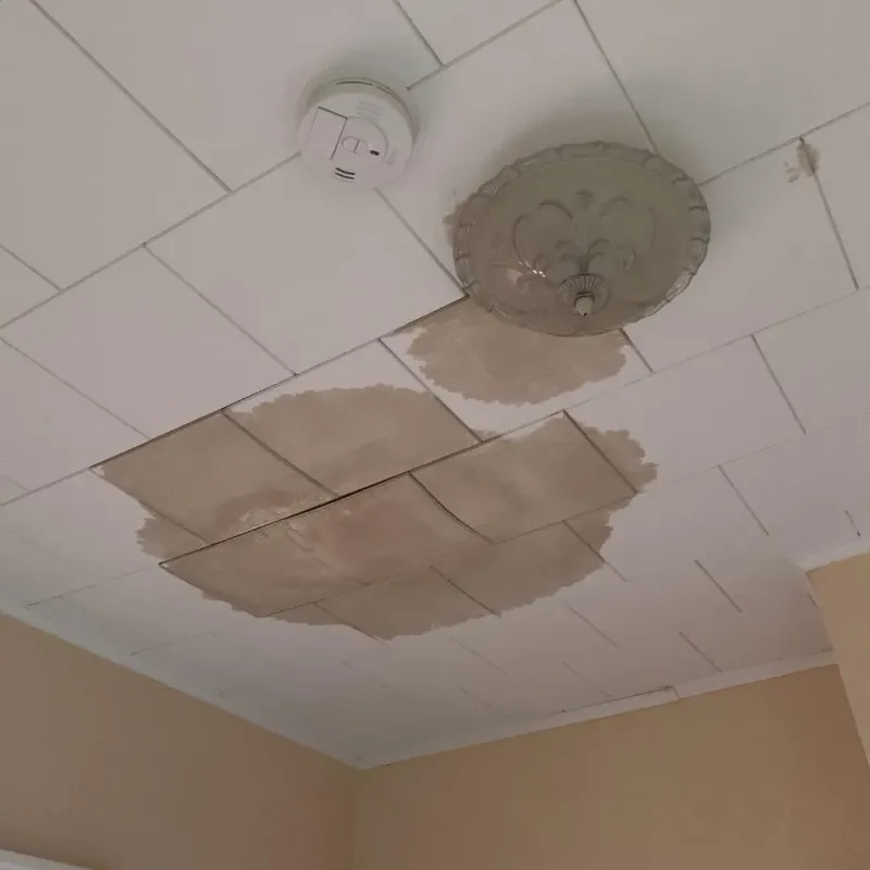 Ceiling Water Damage Repair in Franklin, NC