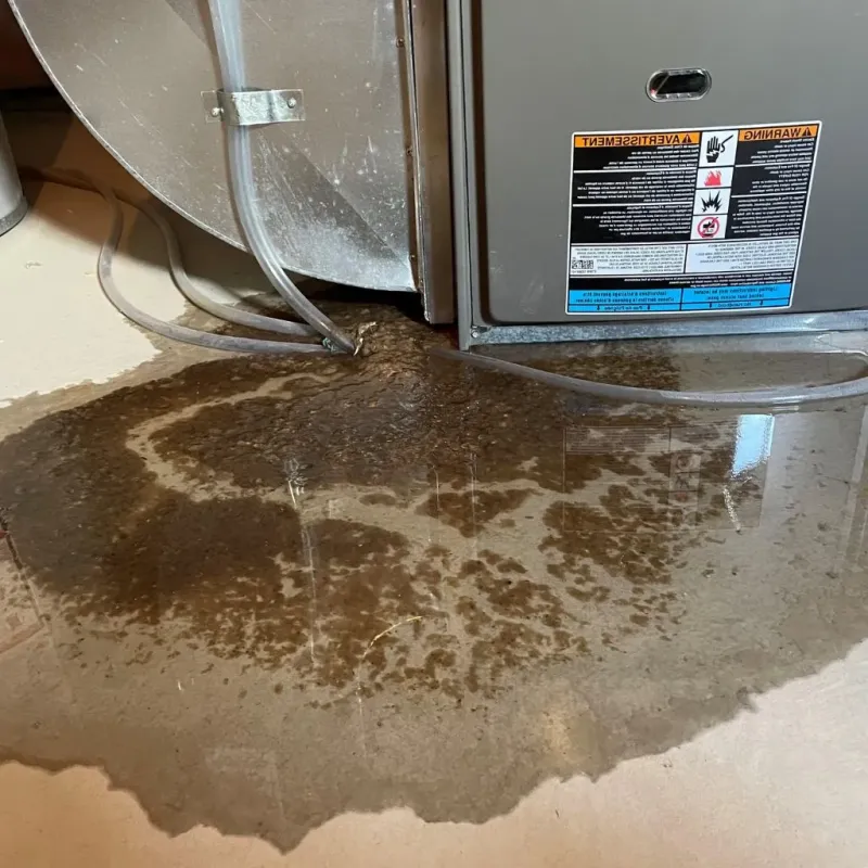 Pipe Burst and Leak Restoration in Franklin, NC