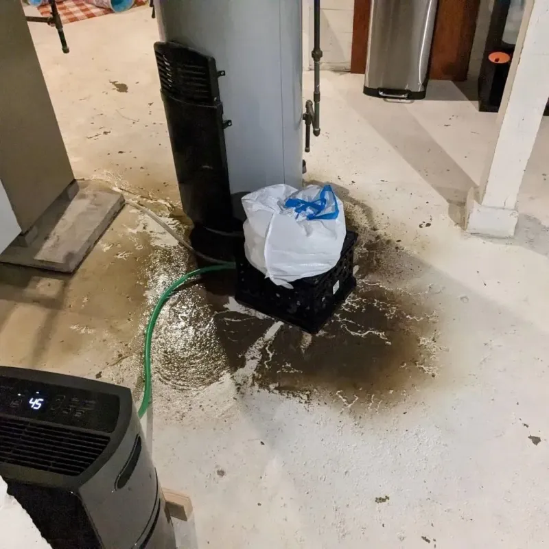 Sewage Backup Cleanup Service in Franklin, NC
